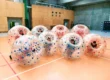 Gra w kule Bumper Ball na hali sportowej w Krakowie